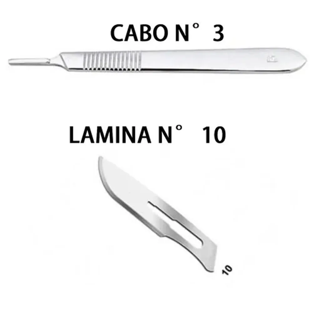 Lamina De Bisturi Aço Carbono Nº 10 C/100 – Descarpack